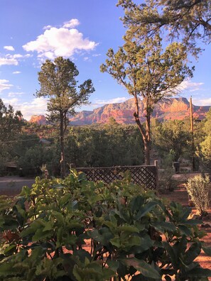 Views of Sedona Red Rocks