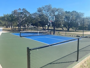 Pickleball Court in Driveway!
