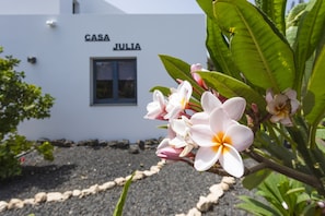 Pathway to the house