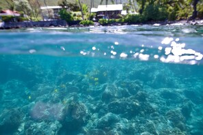 View of Home from the water