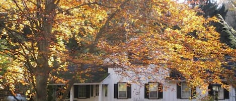 Welcome to the Cottage at Taughannock!