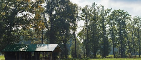 Außenseite Ferienhaus [Sommer]