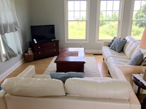 TV and Seating Area