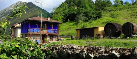 Casa con Jacuzzi, Romántica, Picos de Europa. Cangas de Onís.