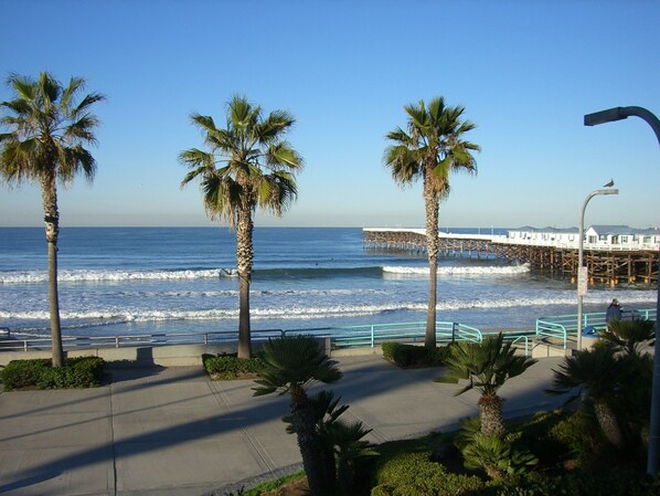 View from the Living Room