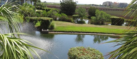 View from the balcony