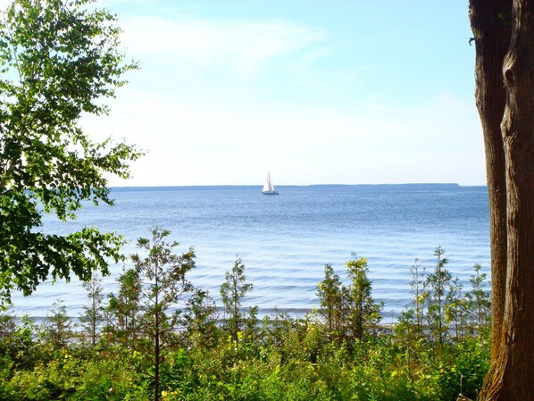 View from the Back