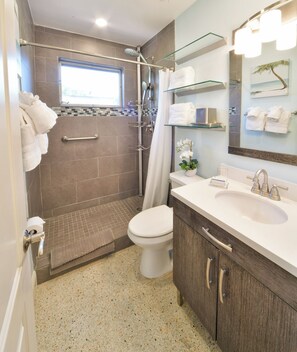 Suite #2 - Bathroom with Stand up Rain Shower