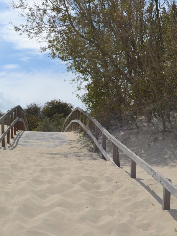 Playa