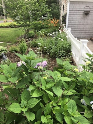 Our inviting gardens