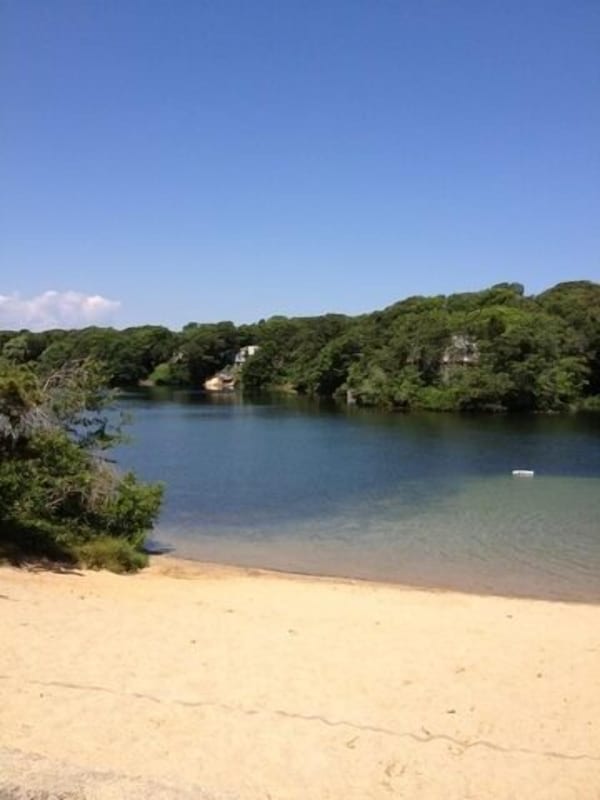 Long Pond Swimming Area - 1 block away...walk the kayaks down from our garage!