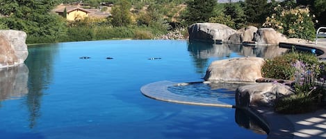 Infinity pool and jacuzzi