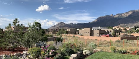 View from the patio.