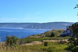 Over 5 acres of RedHouse oceanfront property to explore!