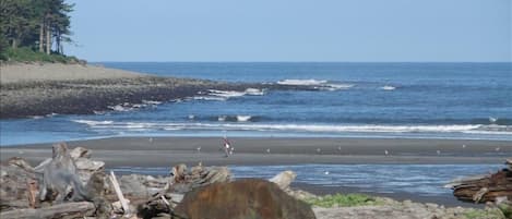 This view is a short walk to the cove for clamming, tide pools or wave watching
