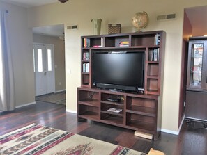 TV with Roku in Living Room