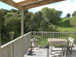 deck and forest