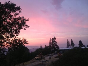 More Views