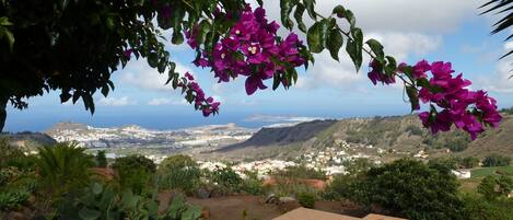 Pool und Traum Meerblick auf Arucas und Las Palmas