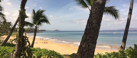 BEACH-Walk to Charley Young Beach across  from condo complex. Swimming & Walking