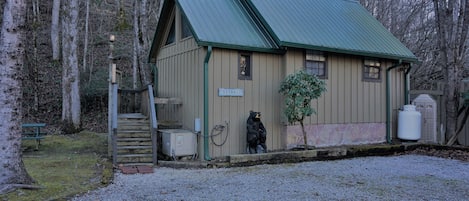 Outside view from driveway