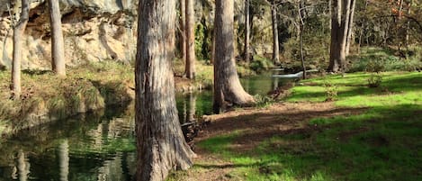 Portion of Lick Creek on property