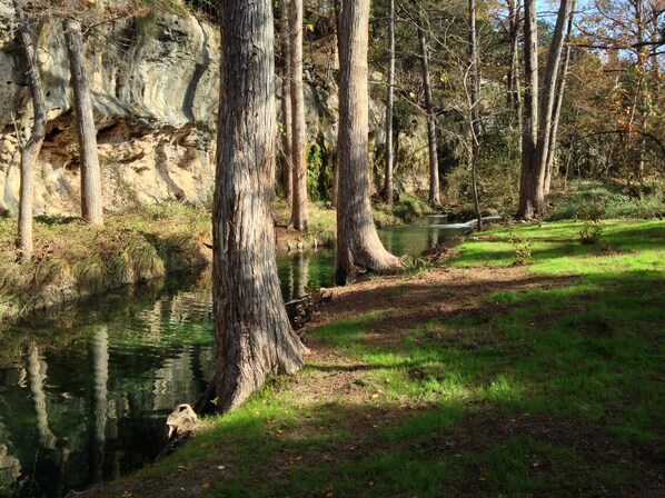 Portion of Lick Creek on property