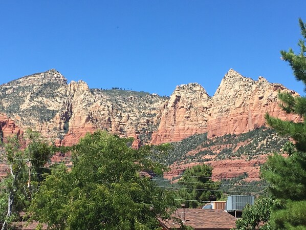 Back Yard View