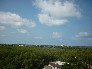 The North East view from the Living Room, Balcony and all rooms