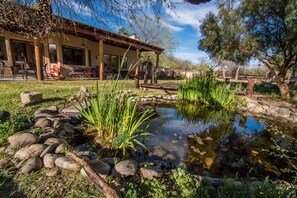 Back Porch with the pond