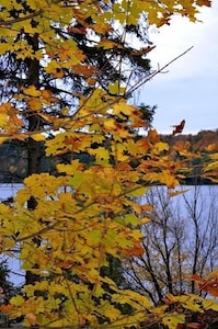 Meech Lake peaceful retreat