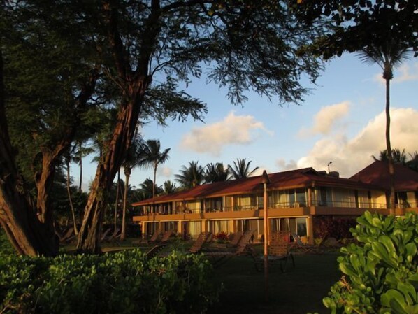 Our villa, located in the middle of the ground floor