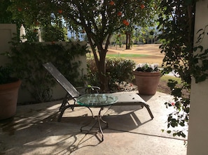 Back yard lounging with view of Palmer course and Mountains