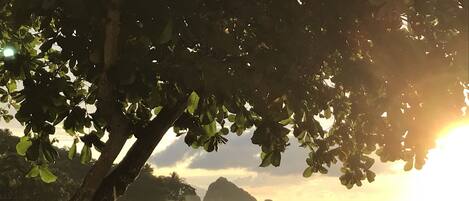 Los Arcos from pool area