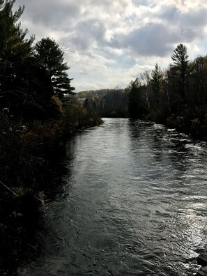 Boardman River in the summer
