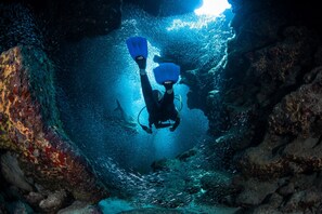 SNORKEL & DIVE to the coolest corals and drop-offs around Barrier Reef!