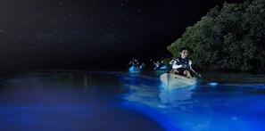 KAYAK under a blanket of stars Cayman’s only bio-luminescent bay!