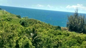 Ocean view from the lanai & living room desk window. 