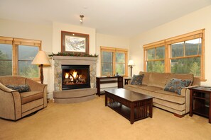 The living area is spacious and includes a cozy fireplace