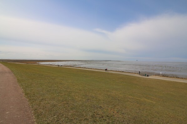 Praia