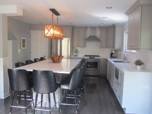 New Chefs Kitchen with high end appliances and seating for 12