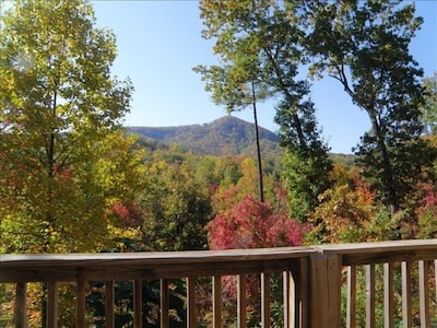 WONDERFUL MOUNTAIN VIEWS~*PETS WELCOME*~ CLOSE TO EVERYTHING, YET VERY PRIVATE.