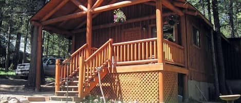 Cozy guest cabin near Henry's Lake.