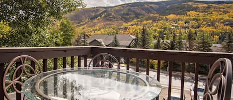 Mountain views from deck