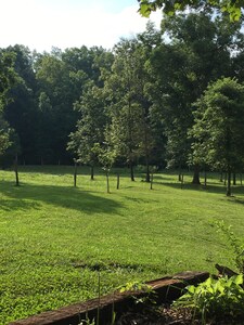 Maple Creek Farm - Fall leaves peaking soon!