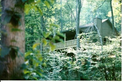 Luxuary Cabin secluded on 40 acres of Spectacular Mountain Wilderness.