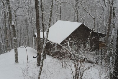 Luxuary Cabin secluded on 40 acres of Spectacular Mountain Wilderness.