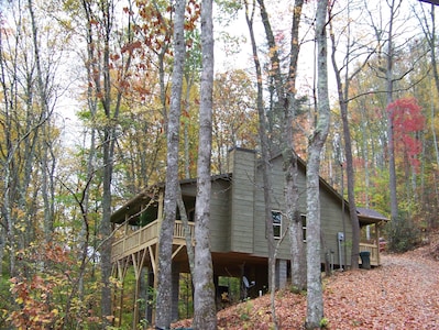 Luxuary Cabin secluded on 40 acres of Spectacular Mountain Wilderness.
