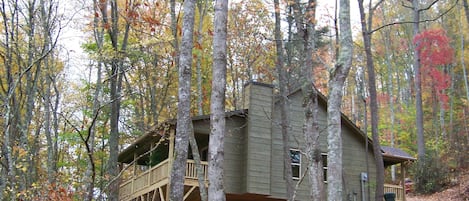 The Dogwood Breeze Cabin