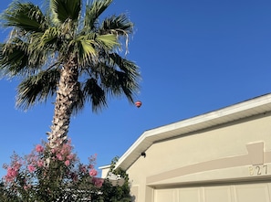 Hot air balloons regularly fly overhead. Perfect mornings! 